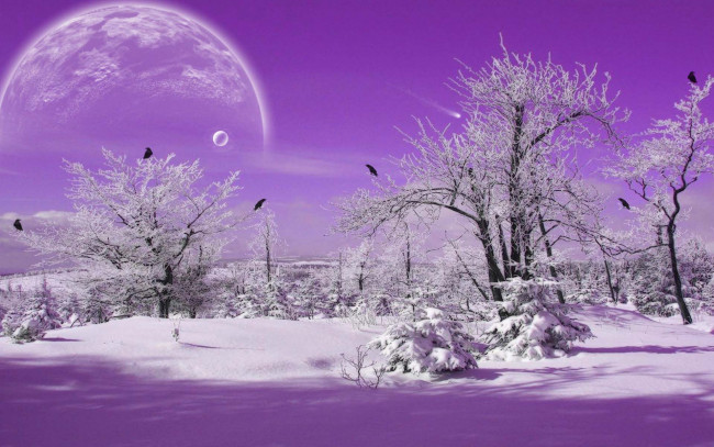 Обои картинки фото 3д, графика, atmosphere, mood, атмосфера, настроения, зима, лес, снег, планета, птицы