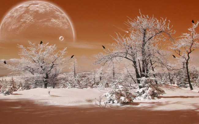 Обои картинки фото 3д, графика, atmosphere, mood, атмосфера, настроения, планета, птицы, снег, лес, зима