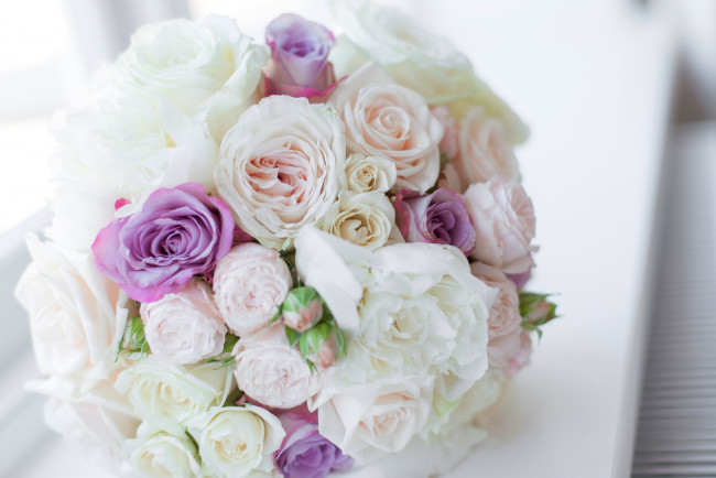 Обои картинки фото цветы, розы, свадебный