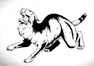 Картинка рисованное животные зверь дикий кот хищник