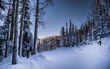 Картинка природа зима лес сснег