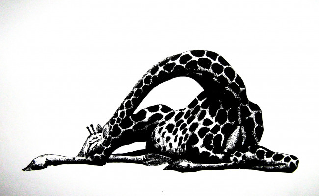 Обои картинки фото рисованное, животные, графика, жираф, черно-белый