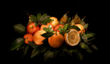Картинка еда фрукты +ягоды грушa листья яблоко апельсин цитрусы натюрморт