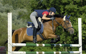 Картинка спорт конный+спорт девушка в спортивной униформе перепрыгивает через барьер на лошади