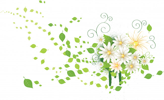 Обои картинки фото векторная графика, цветы , flowers, цветы, фон, лето