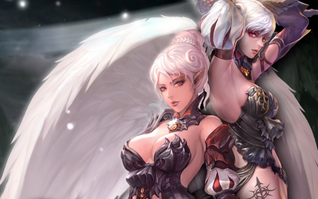 Обои картинки фото видео игры, lineage ii,  the chaotic throne - kamael & hellbound, девушки, эльф, крылья, ангел