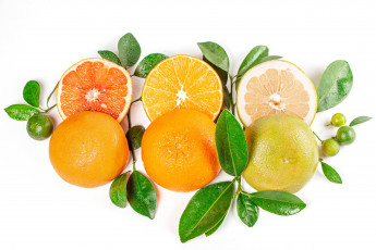 Картинка еда фрукты +ягоды ветки апельсин грейпфрут лимоны цитрусовые