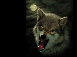 Картинка рисованные животные волки