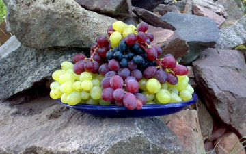 обоя еда, виноград, камни, тарелка, ягоды