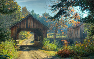 Картинка природа дороги деревья мост