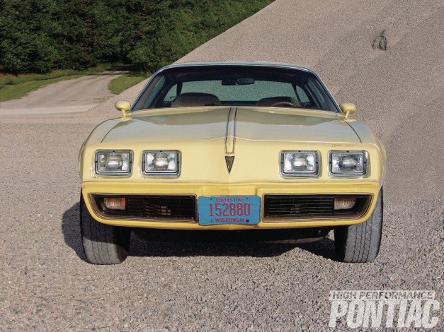 Обои картинки фото 1980, pontiac, firebird, автомобили
