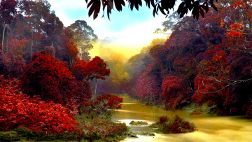 Картинка джунгли 3д графика nature landscape природа река тропики заросли