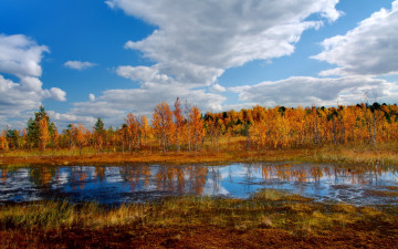 обоя autumn, природа, реки, озера, осень, трава, деревья, озеро