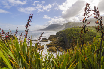 Картинка природа побережье растительность скалы берег океан