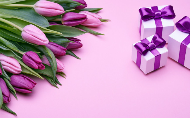 Обои картинки фото праздничные, подарки и коробочки, flowers, подарки, тюльпаны, romantic, gift, purple, букет, love, бант, tulips, pink, fresh, розовые