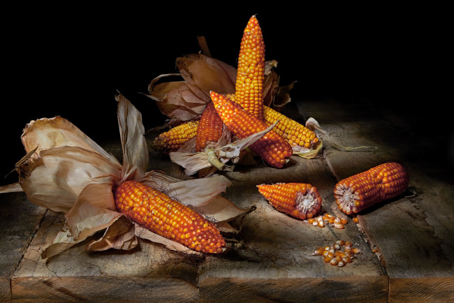 Обои картинки фото еда, кукуруза, початки, зерна