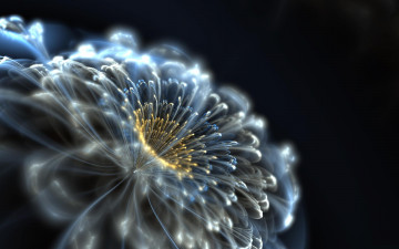 Картинка 3д графика fractal фракталы цветок неоновый бстрактный