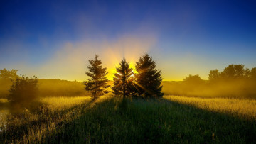 Картинка природа восходы закаты поляна лес лучи свет утро елки пригорок