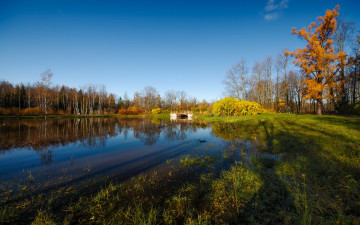 Картинка природа реки озера мост водоем небо