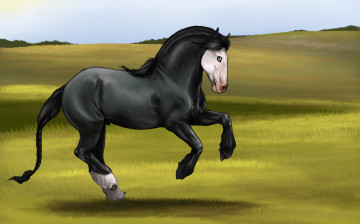 Картинка рисованные животные лошади лошадь луг