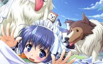 Картинка yoake+mae+yori+ruri+iro+na аниме девушка собаки