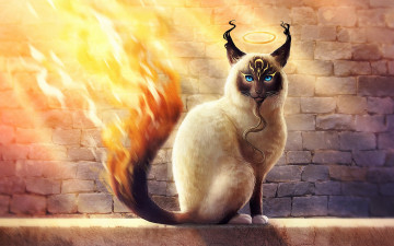 Картинка рисованное животные +сказочные +мифические кот огонь хвост борода