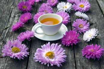Картинка еда напитки +Чай чай хризантемы