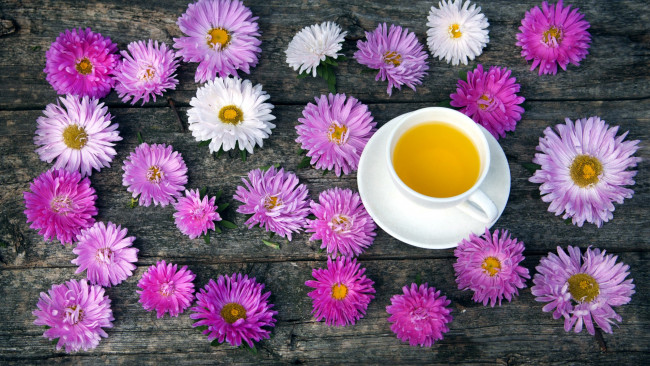 Обои картинки фото еда, напитки,  Чай, чай, хризантемы