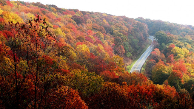 Обои картинки фото природа, дороги, осень, деревья, шоссе