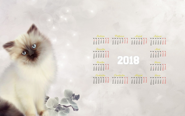 Обои картинки фото календари, рисованные,  векторная графика, взгляд, цветок, 2018, кошка