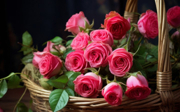 обоя цветы, розы, корзинка, розовые, бутоны