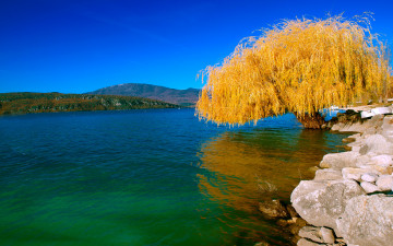 Картинка природа реки озера камни река дерево