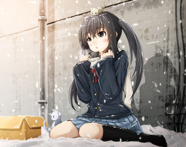 Обои картинки фото аниме, on, зима, кошки, девочка, nakano, azusa, коробка, форма, снег