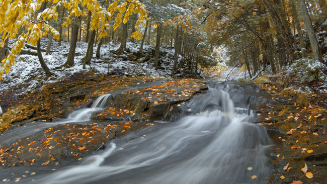 Обои картинки фото природа, реки, озера, лес, листья, осень, река, деревья