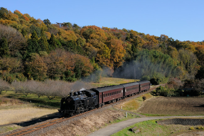 Обои картинки фото техника, поезда, паровоз, вагоны