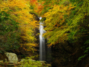Картинка природа водопады осень скала водопад лес деревья