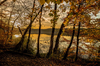 Картинка природа реки озера лес озеро осень