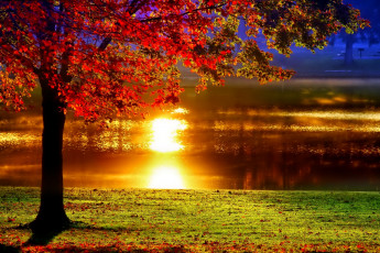 Картинка природа восходы закаты пруд осень отражение дерево парк