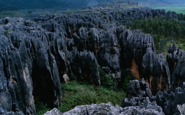 Картинка природа горы скалы кусты деревья