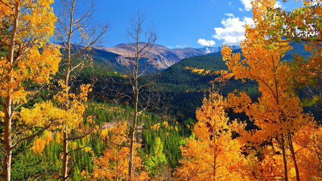 Обои картинки фото природа, лес, небо, облака, горы, деревья, осень