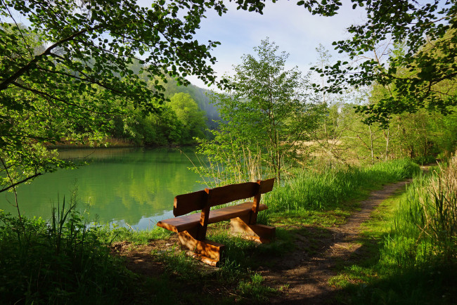 Обои картинки фото природа, реки, озера, озеро, perolles, switzerland, швейцария, скамейка, деревья