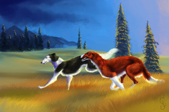 Картинка рисованное животные +собаки луг фон взгляд собаки