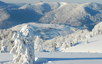 Картинка природа горы зима снег деревья