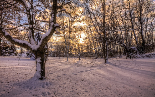 Обои картинки фото природа, лес, деревья, снег, зима, кормушка