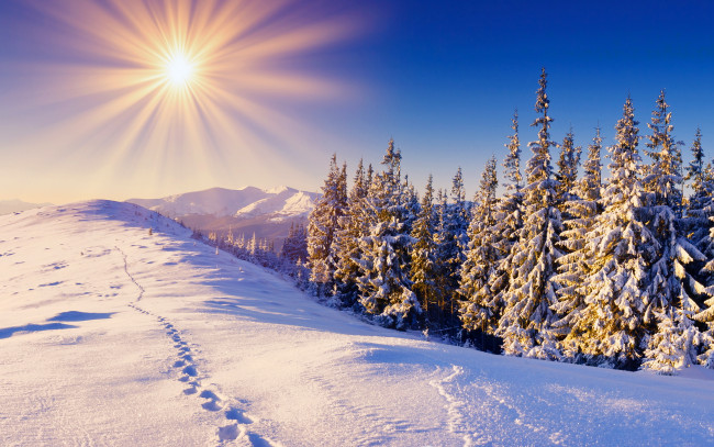 Обои картинки фото природа, зима, небо, горы, следы, деревья, солнце, снег, лес