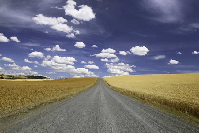 Обои картинки фото природа, дороги, поле, дорога