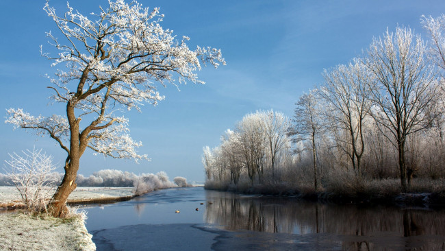 Обои картинки фото природа, зима, снег, деревья, река, иней