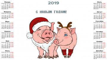 Картинка календари праздники +салюты свинья шапка борода хряк