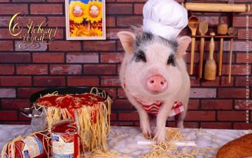 Картинка календари праздники +салюты кухня колпак макароны свинья поросенок
