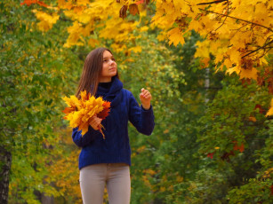 Картинка девушки -+брюнетки +шатенки шатенка свитер брюки листья осень деревья
